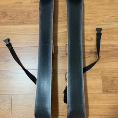 サロモン　ファンスキーの画像