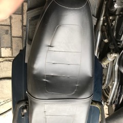 フュージョンナンバー自賠責保険付きの画像