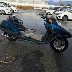 フュージョンナンバー自賠責保険付きの画像