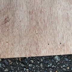 お話し中　ベニヤ合板2枚で の画像