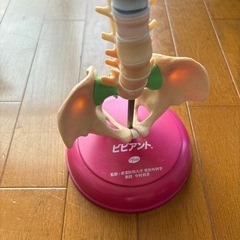 医療　ビビアント模型の画像