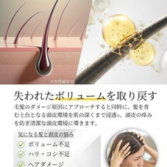 シャンプーに混ぜる美容液 KERAFOM 高濃度ヘマチン 髪質改善 美容室専売品の画像
