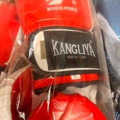 ボクシンググローブ パンチンググローブ KARAシリーズ 左右セットの画像