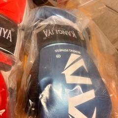 ボクシンググローブ パンチンググローブ KARAシリーズ 左右セットの画像