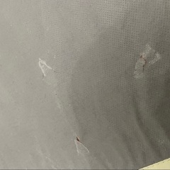 総額1万5千円越え 豪華和風撮影セット(子供•ペットサイズの画像