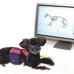 11/25★愛犬の健康チェックしませんか？＜ドッグスキャン…