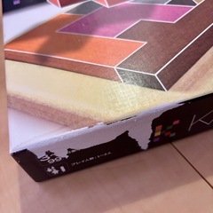 カタミノ　知育玩具　ブロック
の画像