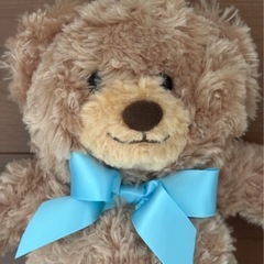 【定価1,595円】新品未使用　ハニーテディーベア スティーブ ダイソー くま ぬいぐるみの画像