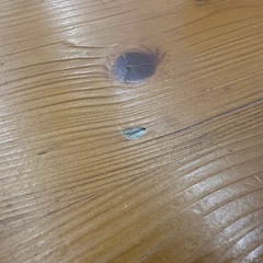 ⭐︎ドリーム荒牧店⭐︎ジモティー割引有⭐︎【クリーニング済み】ニトリ　座卓　折りたたみの画像