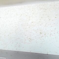 M0076 SHOP JAPAN ショップジャパン スイブルスイーパ- G2 未使用長期保管品の画像