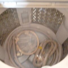 東芝１０Ｋ洗濯機2024中古の画像