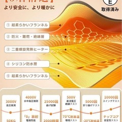 電気毛布⭐️掛け敷き兼用 洗える 180×130cm ダブルサイズ フランネルの画像