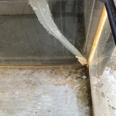 120㎝　水槽の画像