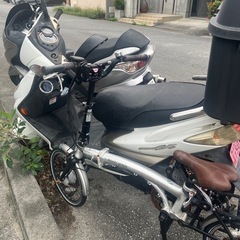 シグナス　
台湾ヤマハ　の画像