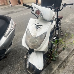 シグナス　
台湾ヤマハ　の画像