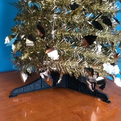 クリスマスツリーの画像