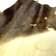 ラグ用の毛付き牛革の端材の画像