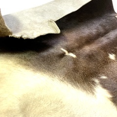 ラグ用の毛付き牛革の端材の画像