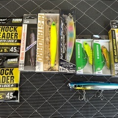 新品シーバスセットの画像