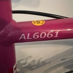 ルイガノ　
ロードバイクの画像