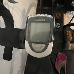 ルイガノ　
ロードバイクの画像