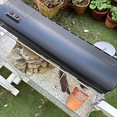 大きめ　水槽の画像