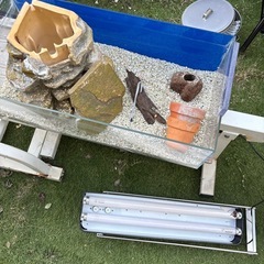 大きめ　水槽の画像