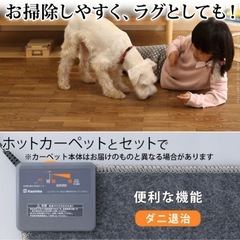 ホットカーペット　フローリング　カバー　防水の画像