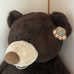 コストコ　53インチ　くまの画像