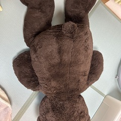 コストコ　53インチ　くまの画像