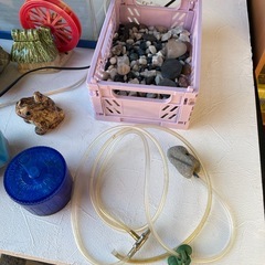 【受渡し者決定】お魚飼育セットの画像