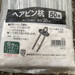 ヘアピン杭　50本の画像