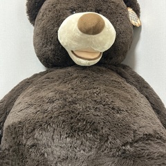 コストコ　53インチ　くまの画像