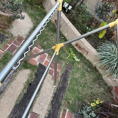 洗濯干し　布団干しの画像