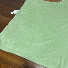 タグ付き ジェラピケ 恐竜ブランケットの画像