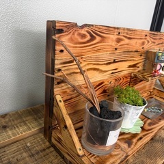 【アンティーク】DIY 焼き板処理　小物置き棚の画像