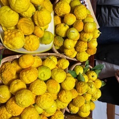 ゆず 1個80円 無消毒、 無農薬 ●柚子風呂 柚子シロップなどにの画像