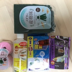 メダカ飼育セットの画像