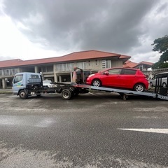 平成27年式三菱キャンター　キャリアーカーの画像