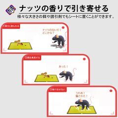 ネズミ捕りシート 5枚セット 60×28cm 強力粘着 ネズミ駆除 フィルム 黒色 シート 折りたたみ 収納可 簡単 設置 回収 マウス 捕獲 香り付き 家 室内 倉庫 家庭用の画像