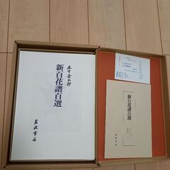 ⚠️再値下げ中⚠️値引き対応🉑⚠️新百花譜百選(画集)(100ページ)の画像