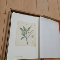 ⚠️再値下げ中⚠️値引き対応🉑⚠️新百花譜百選(画集)(100ページ)の画像