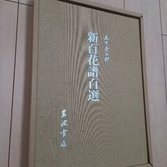 ⚠️再値下げ中⚠️値引き対応🉑⚠️新百花譜百選(画集)(100ページ)の画像