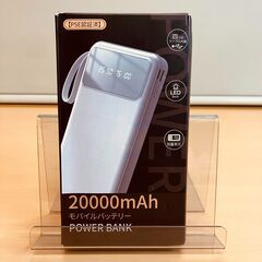 20000mAhモバイルバッテリー（USB-TypeC/microUSB/Lightning/USB）A22（未使用品）の画像