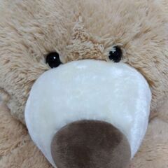 ☆ぬいぐるみ☆コストコの大きいくまさんの画像