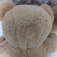 ☆ぬいぐるみ☆コストコの大きいくまさんの画像