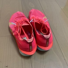 ヴェイパーフライ4  26cmの画像