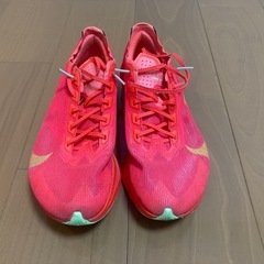 ヴェイパーフライ4  26cmの画像