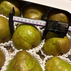 ラ・フランス 3L B品 約5kg の画像