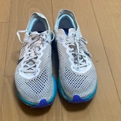 ヴェイパーフライ3    25.5cmの画像